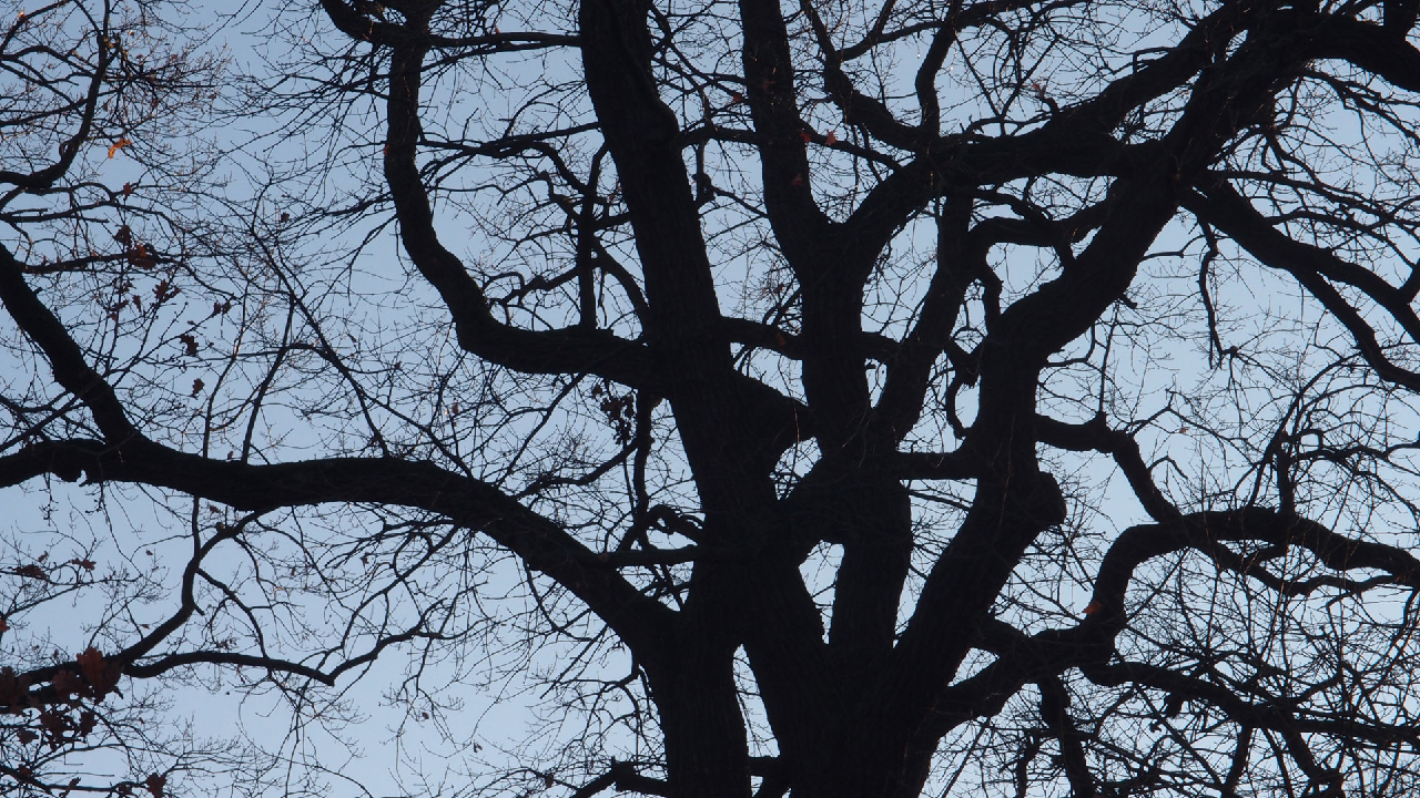 2020-12-26 Kühlgeträt (On/Off) (Remix John Cage - Empty Words IV)